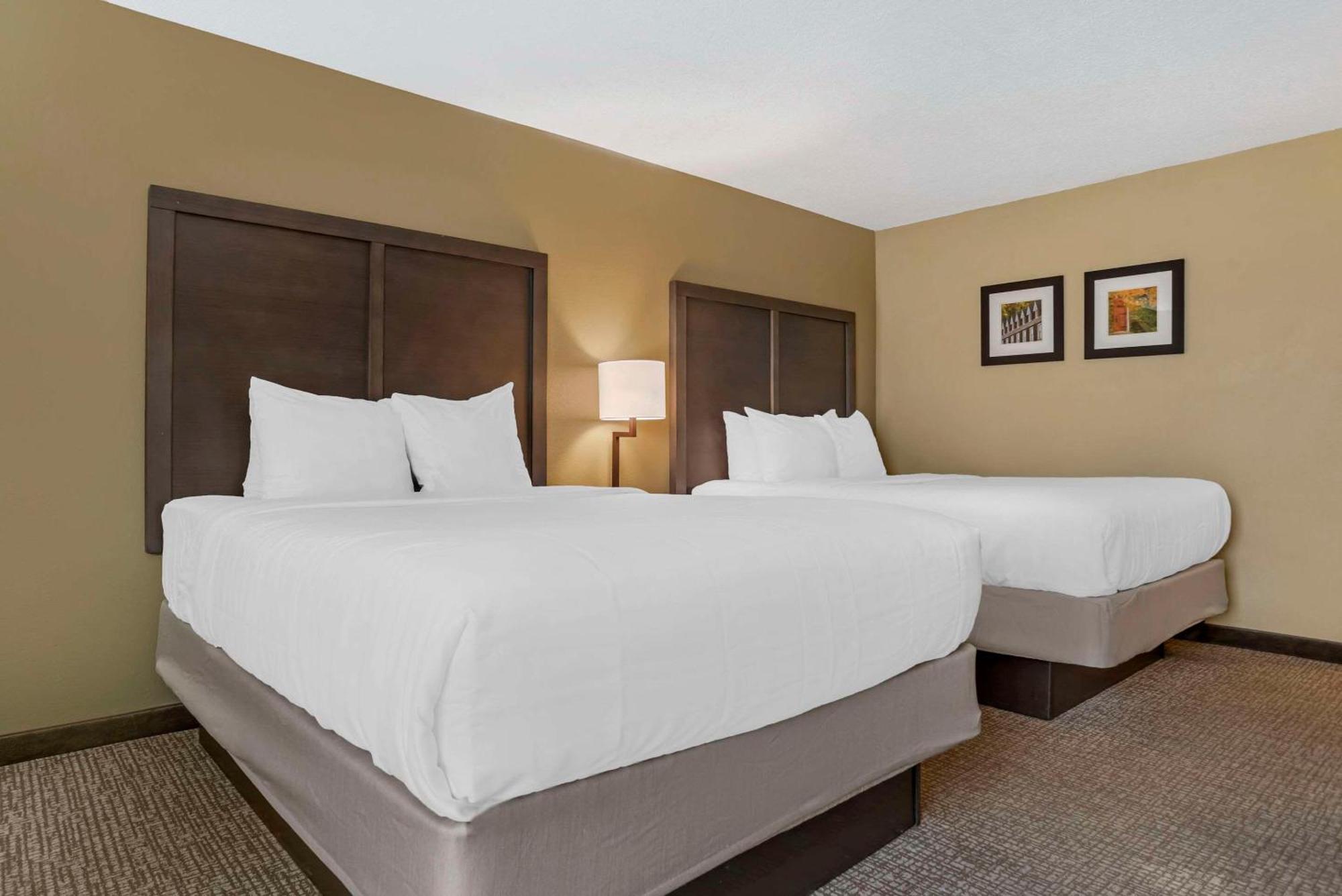 Comfort Inn Opelika - Auburn Exterior foto